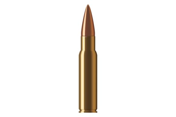 Download Shotgun Caliber Ammo. Realistic Metal - Gun Collection