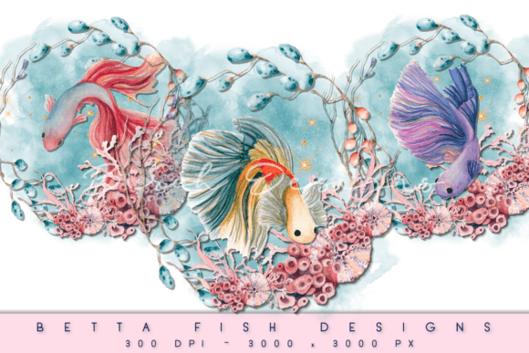 Download Betta Fish Aquatic Wreath PNG Designs - Png Collection